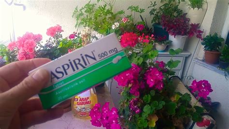 aspirină pentru varice în timpul sarcinii